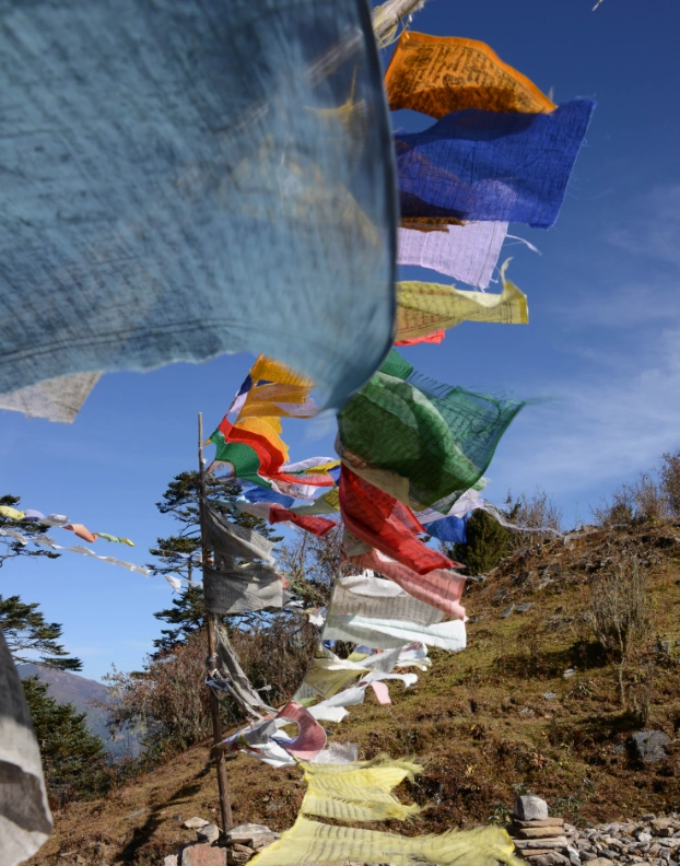 Tibetan prayer flags hanging over a walking route